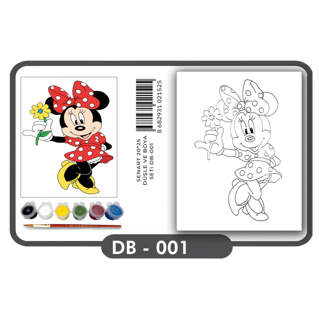 SENART DÜŞLE VE BOYA SETi DB-001 MİCKEY MOUSE