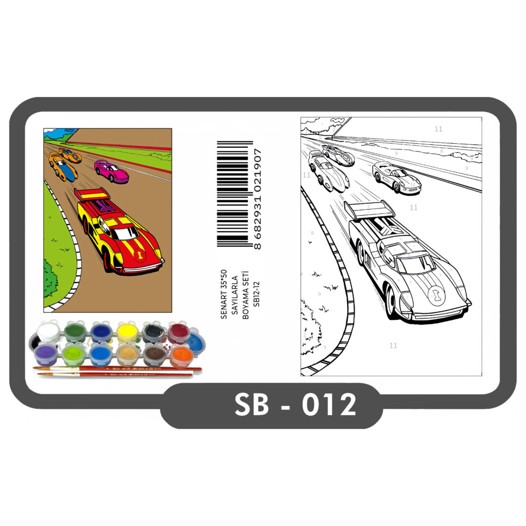 SENART SAYILARLA BOYAMA SETİ 012 ARABALAR 35*50
