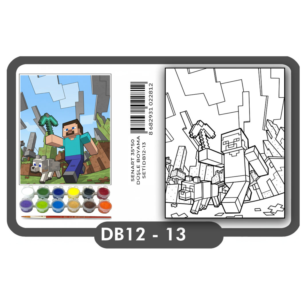 SENART DÜŞLE BOYAMA SETİ 13 MİNECRAFT 35*50
