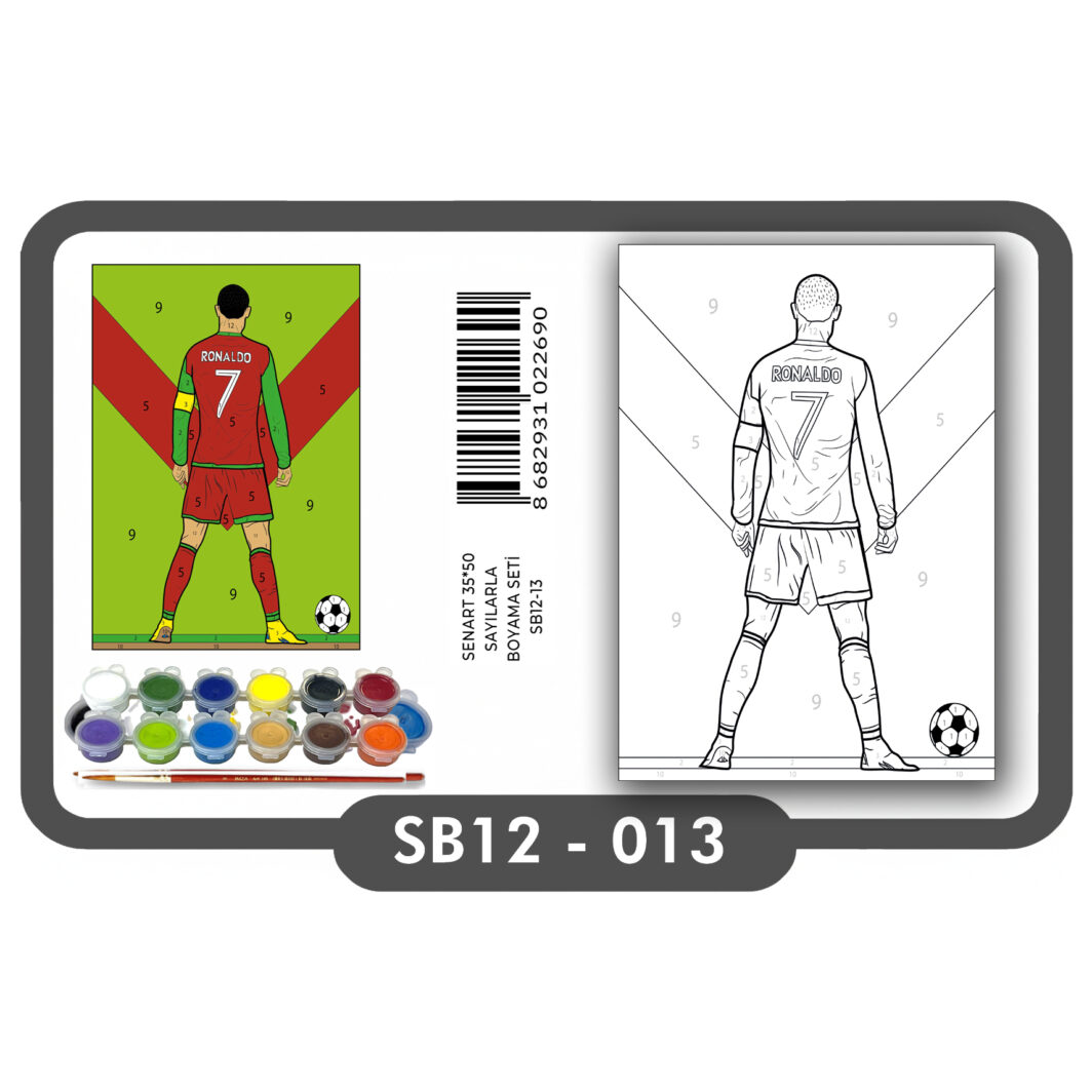 SENART SAYILARLA BOYAMA SETİ 013 RONALDO 35*50