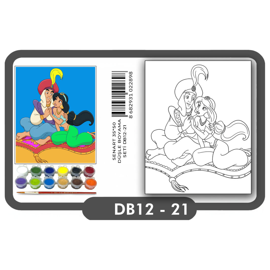 SENART DÜŞLE BOYAMA SETİ 21 ALADDİN 35*50