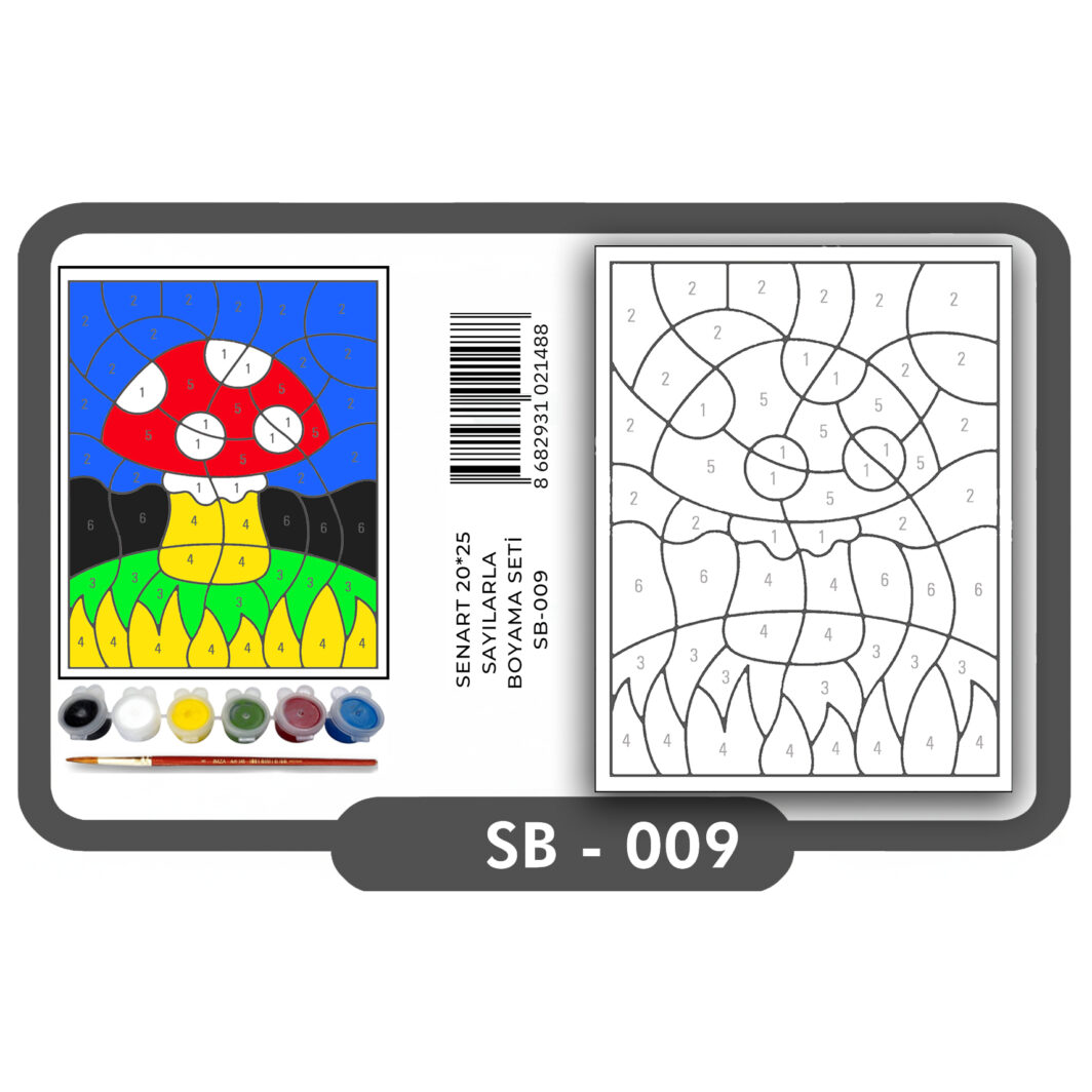 SENART SAYILARLA BOYAMA SETi SB- 009 MANTAR