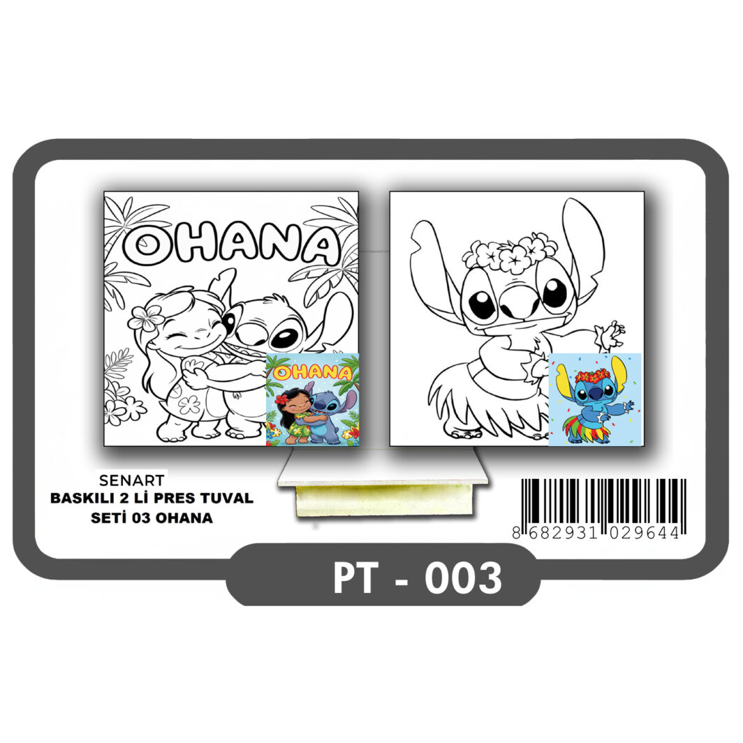 SENART BASKILI 2'Lİ PRES TUVAL SETİ 03 OHANA